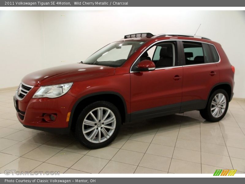 Wild Cherry Metallic / Charcoal 2011 Volkswagen Tiguan SE 4Motion