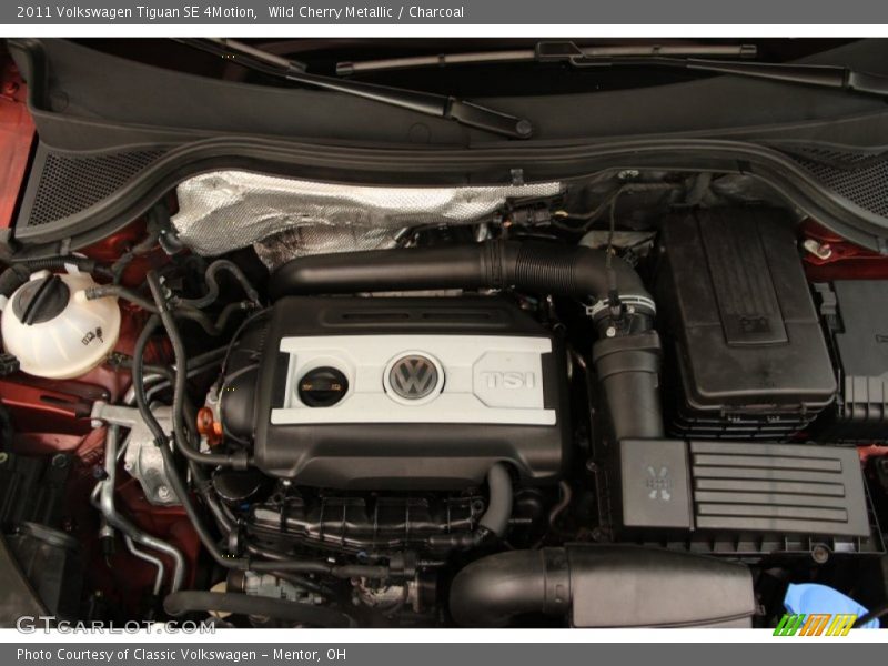 Wild Cherry Metallic / Charcoal 2011 Volkswagen Tiguan SE 4Motion