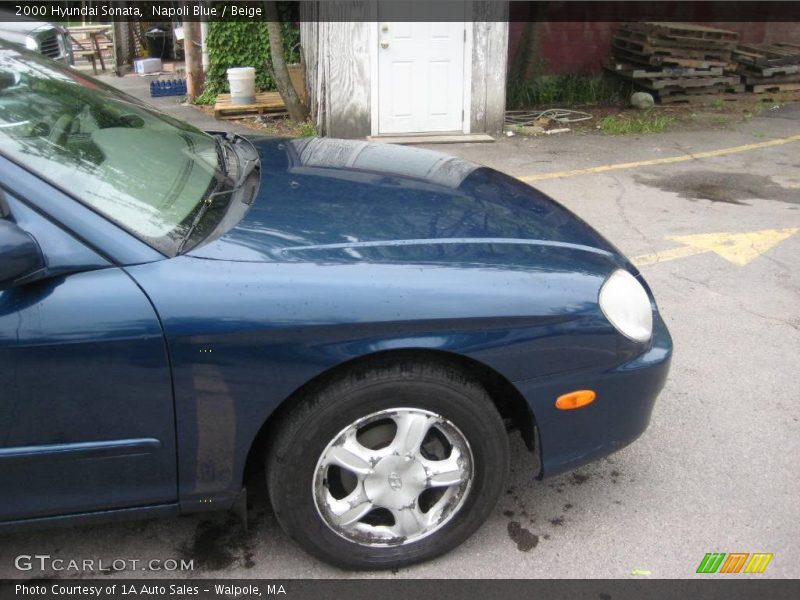 Napoli Blue / Beige 2000 Hyundai Sonata
