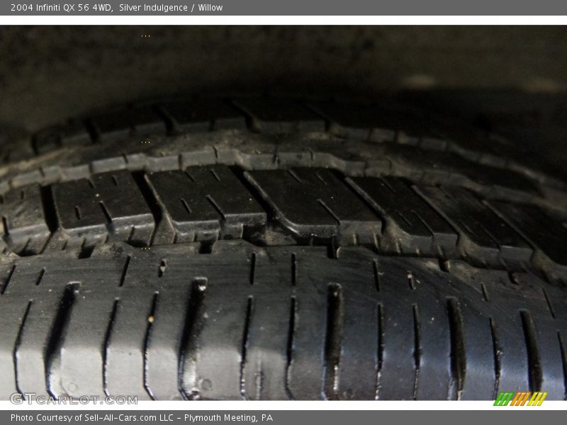 Silver Indulgence / Willow 2004 Infiniti QX 56 4WD