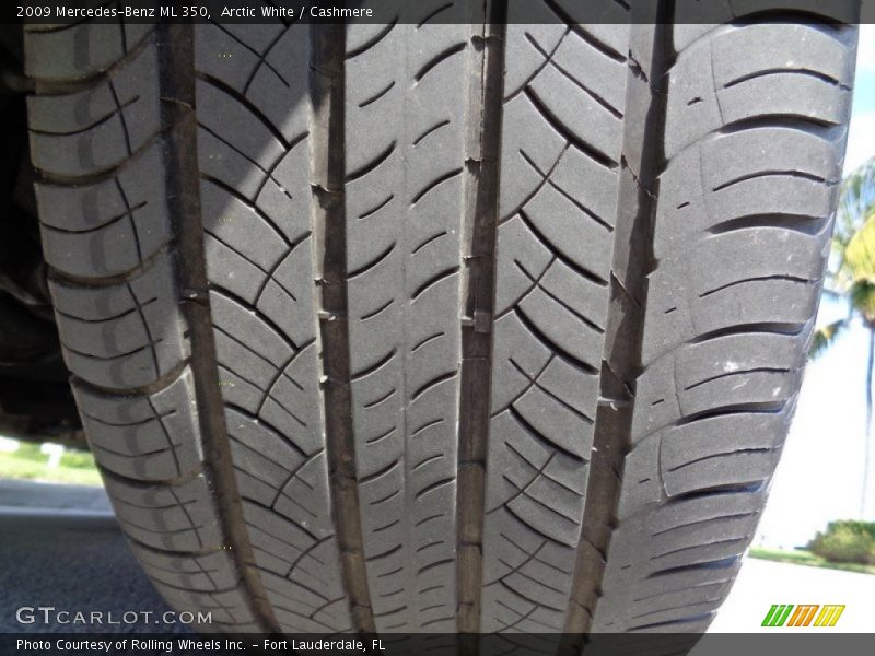 Arctic White / Cashmere 2009 Mercedes-Benz ML 350