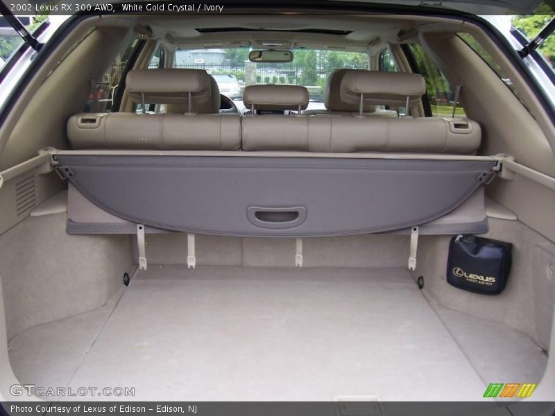 White Gold Crystal / Ivory 2002 Lexus RX 300 AWD