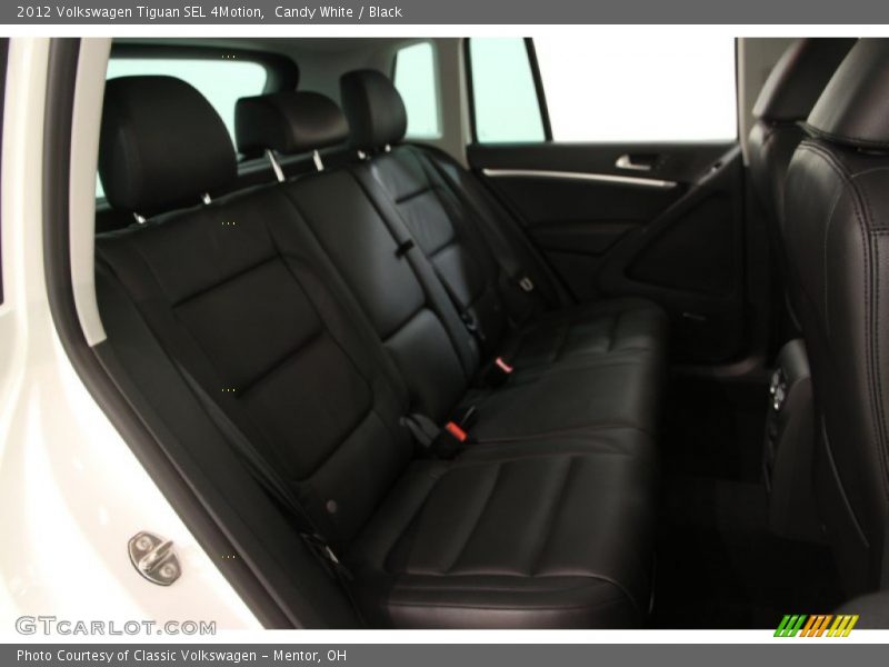 Candy White / Black 2012 Volkswagen Tiguan SEL 4Motion