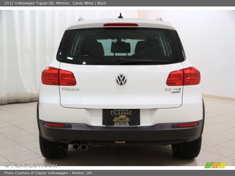 Candy White / Black 2012 Volkswagen Tiguan SEL 4Motion