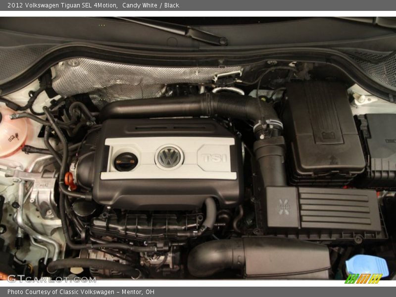 Candy White / Black 2012 Volkswagen Tiguan SEL 4Motion