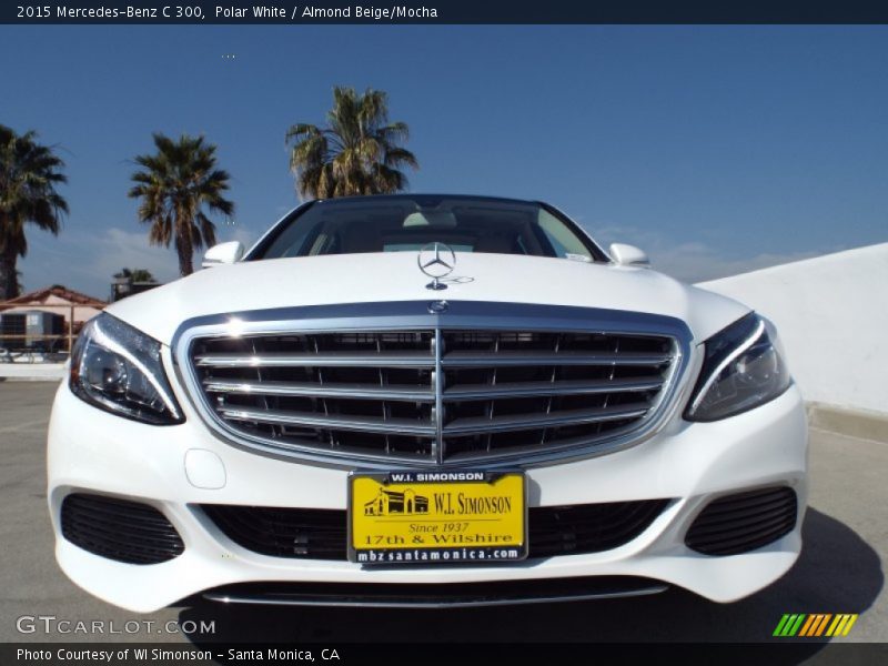 Polar White / Almond Beige/Mocha 2015 Mercedes-Benz C 300