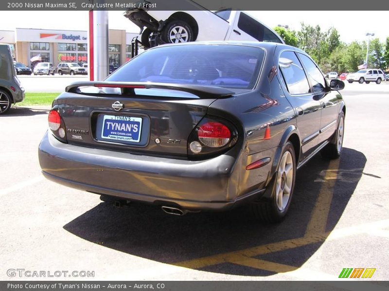 Gray Lustre Metallic / Frost 2000 Nissan Maxima SE