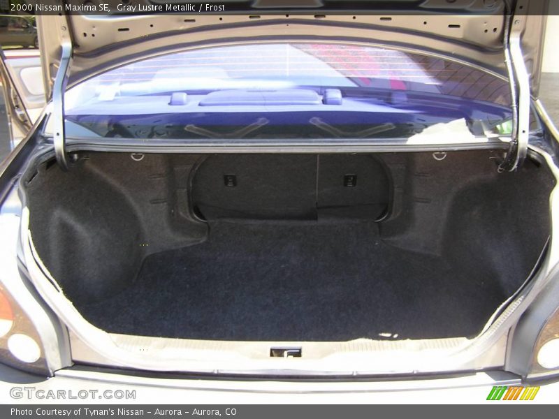 Gray Lustre Metallic / Frost 2000 Nissan Maxima SE
