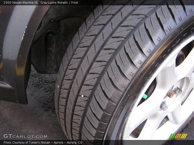 Gray Lustre Metallic / Frost 2000 Nissan Maxima SE
