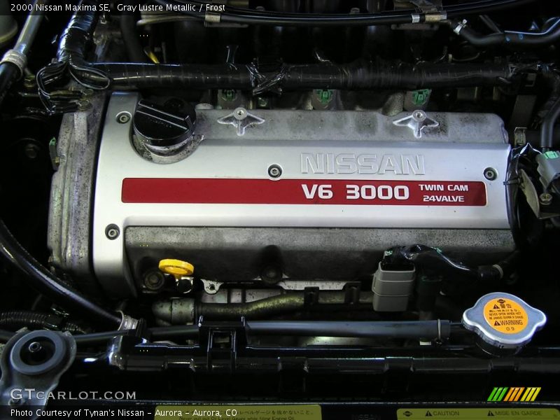 Gray Lustre Metallic / Frost 2000 Nissan Maxima SE