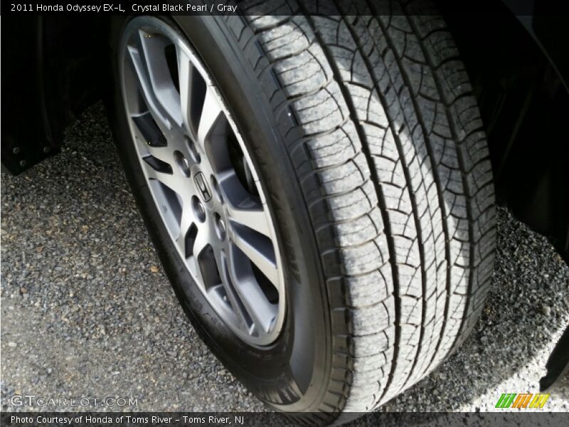 Crystal Black Pearl / Gray 2011 Honda Odyssey EX-L