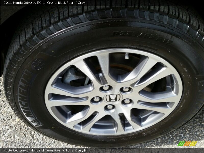 Crystal Black Pearl / Gray 2011 Honda Odyssey EX-L