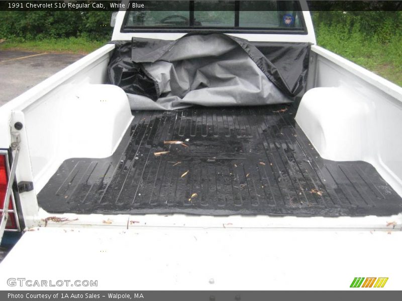 White / Blue 1991 Chevrolet S10 Regular Cab