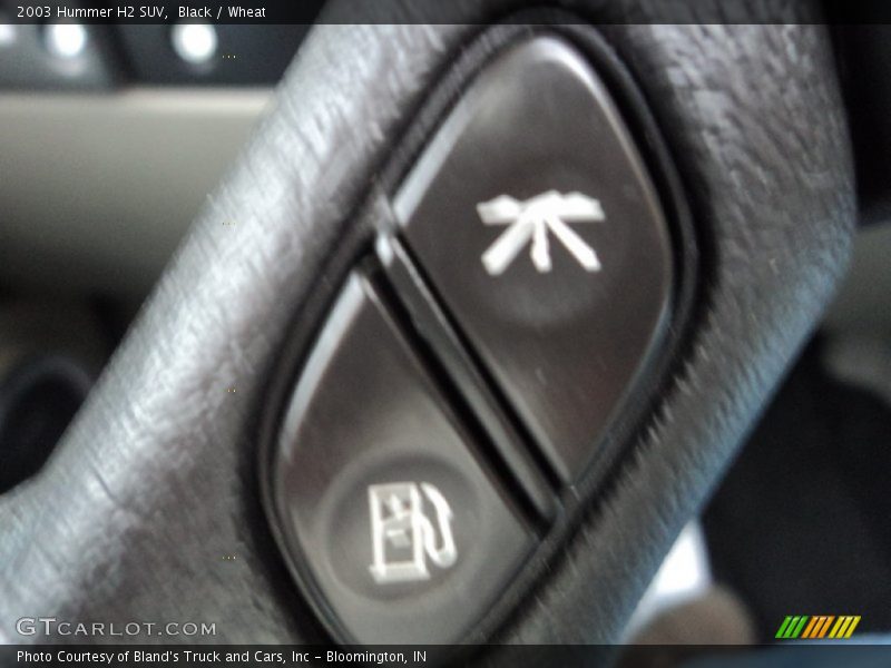Black / Wheat 2003 Hummer H2 SUV