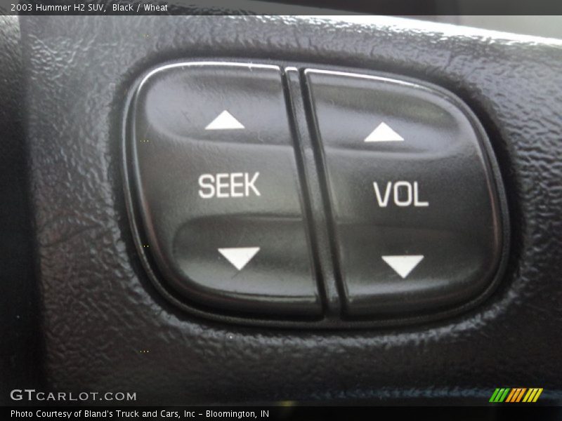 Black / Wheat 2003 Hummer H2 SUV