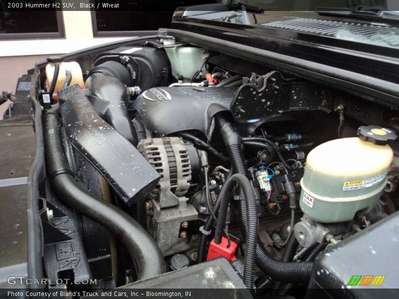 Black / Wheat 2003 Hummer H2 SUV