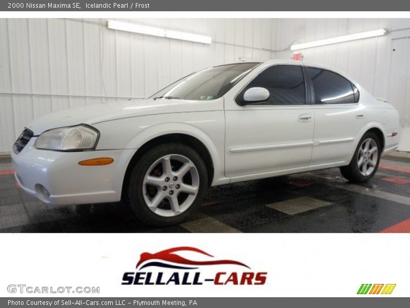 Icelandic Pearl / Frost 2000 Nissan Maxima SE