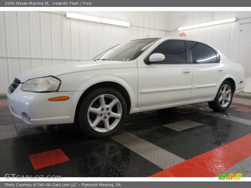 Icelandic Pearl / Frost 2000 Nissan Maxima SE