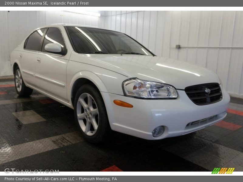 Icelandic Pearl / Frost 2000 Nissan Maxima SE