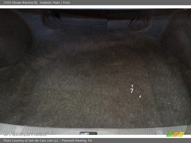 Icelandic Pearl / Frost 2000 Nissan Maxima SE