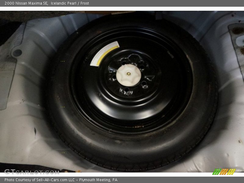 Icelandic Pearl / Frost 2000 Nissan Maxima SE