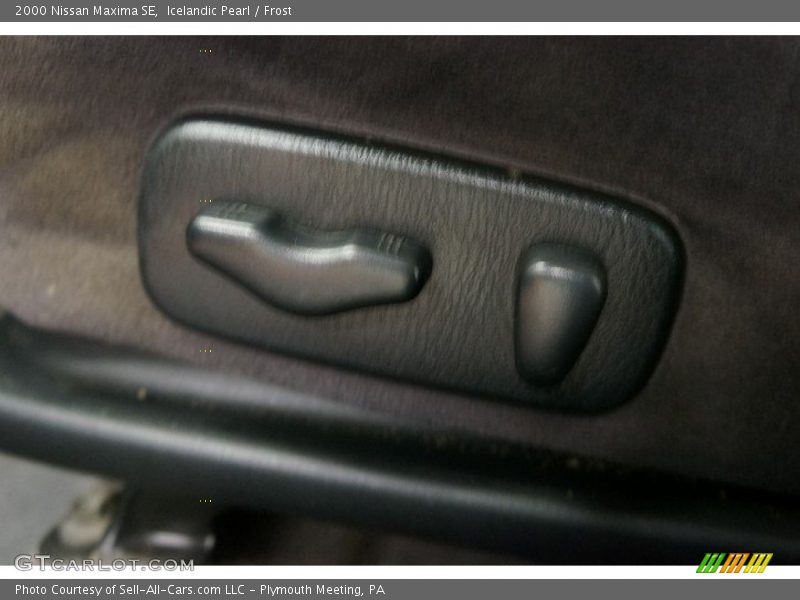 Icelandic Pearl / Frost 2000 Nissan Maxima SE