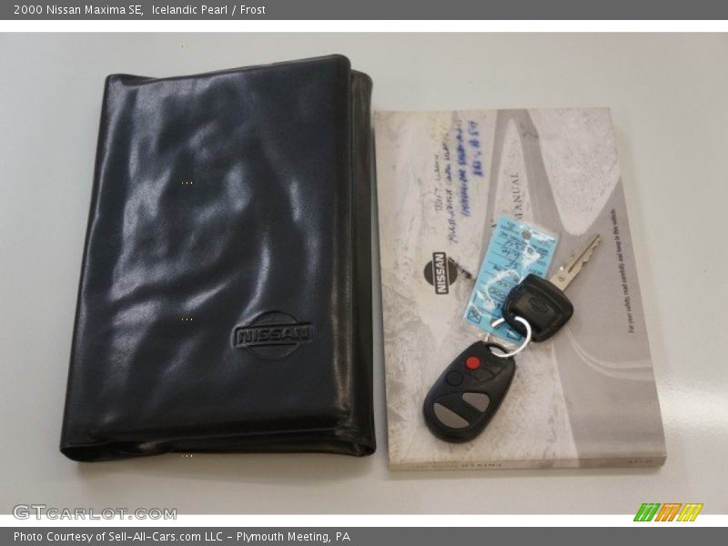 Icelandic Pearl / Frost 2000 Nissan Maxima SE