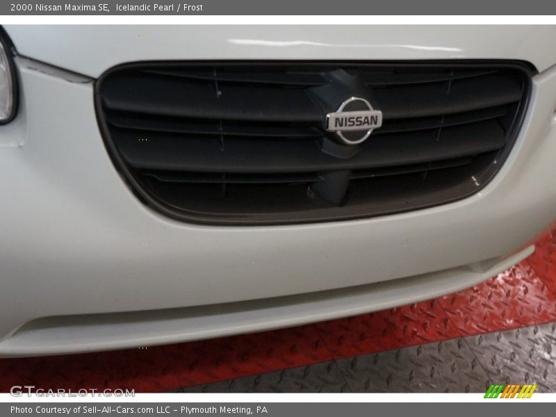 Icelandic Pearl / Frost 2000 Nissan Maxima SE