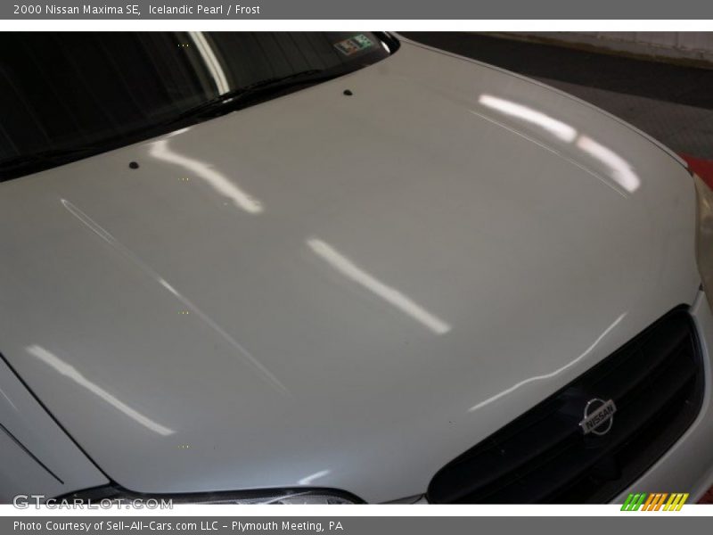 Icelandic Pearl / Frost 2000 Nissan Maxima SE