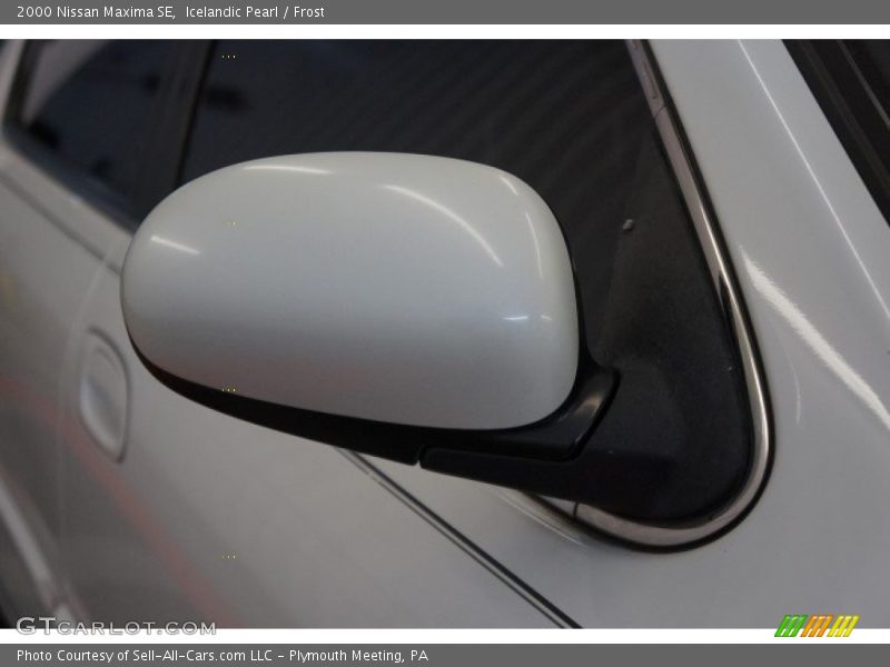 Icelandic Pearl / Frost 2000 Nissan Maxima SE