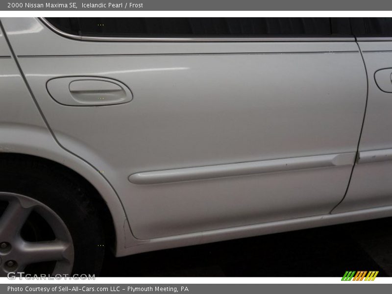 Icelandic Pearl / Frost 2000 Nissan Maxima SE