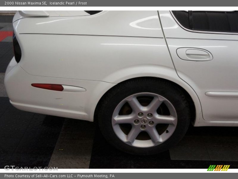 Icelandic Pearl / Frost 2000 Nissan Maxima SE