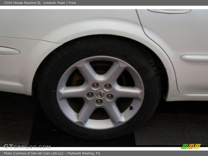 Icelandic Pearl / Frost 2000 Nissan Maxima SE