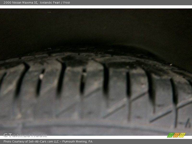 Icelandic Pearl / Frost 2000 Nissan Maxima SE