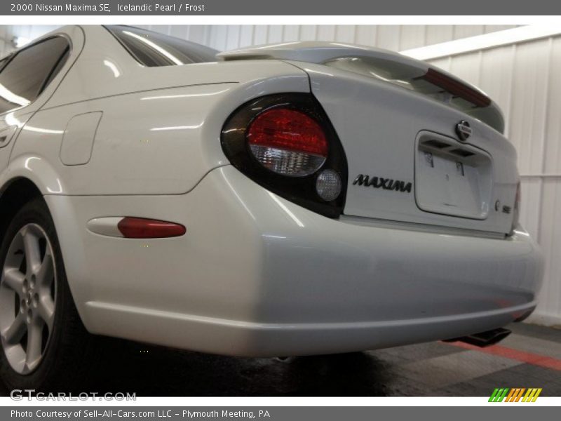 Icelandic Pearl / Frost 2000 Nissan Maxima SE