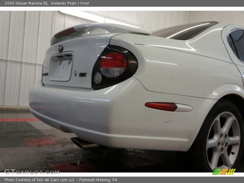 Icelandic Pearl / Frost 2000 Nissan Maxima SE