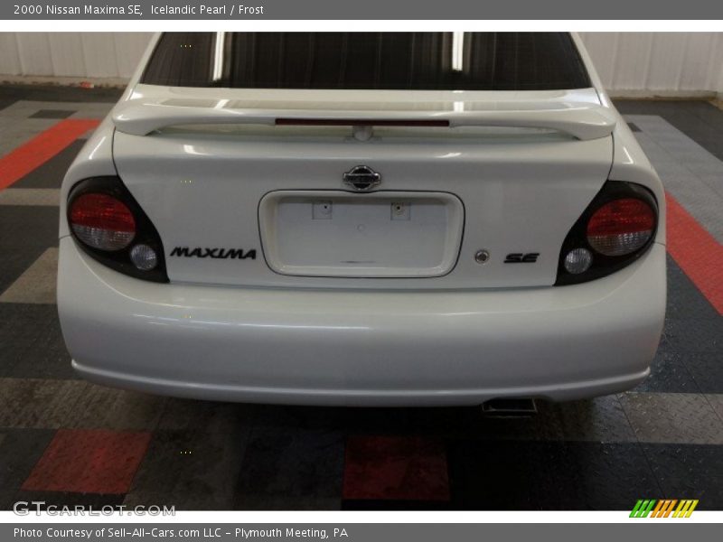 Icelandic Pearl / Frost 2000 Nissan Maxima SE
