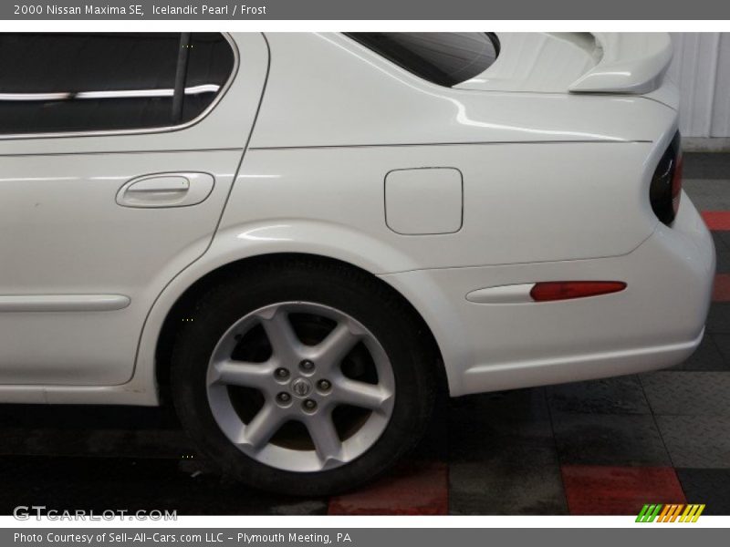 Icelandic Pearl / Frost 2000 Nissan Maxima SE