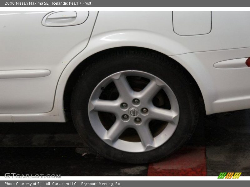 Icelandic Pearl / Frost 2000 Nissan Maxima SE