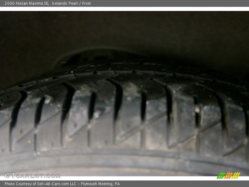 Icelandic Pearl / Frost 2000 Nissan Maxima SE