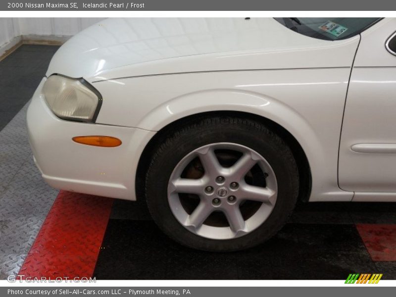 Icelandic Pearl / Frost 2000 Nissan Maxima SE