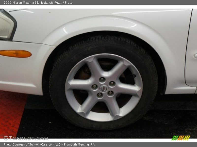 Icelandic Pearl / Frost 2000 Nissan Maxima SE