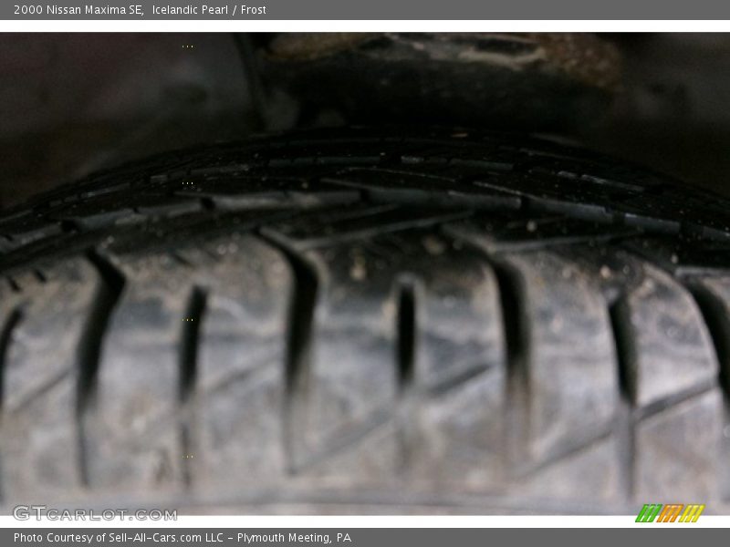 Icelandic Pearl / Frost 2000 Nissan Maxima SE