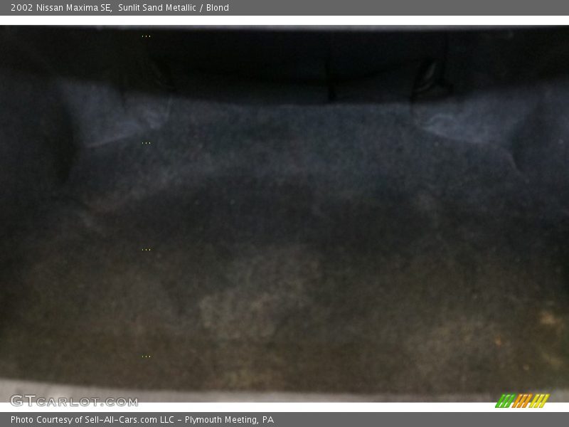 Sunlit Sand Metallic / Blond 2002 Nissan Maxima SE