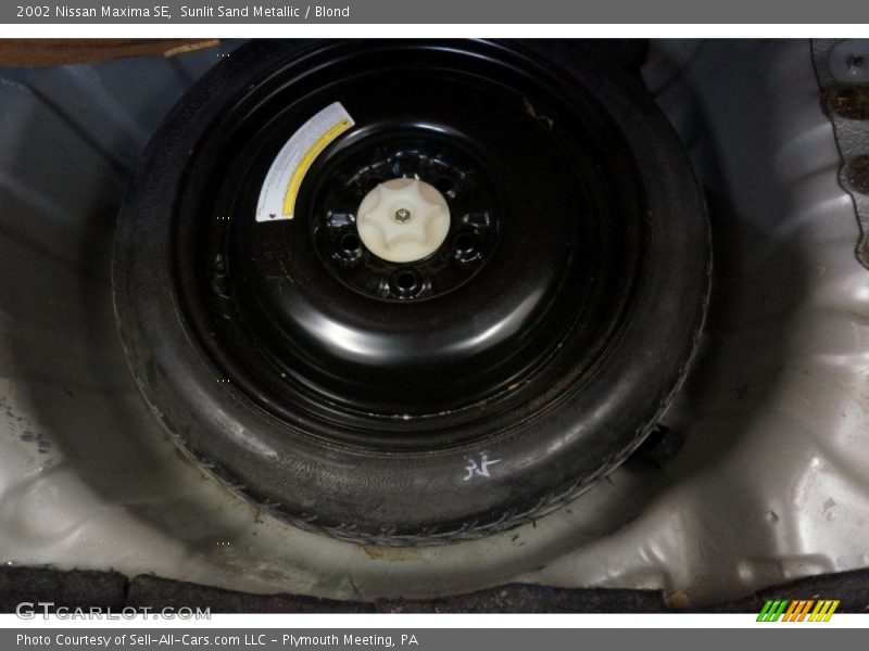 Sunlit Sand Metallic / Blond 2002 Nissan Maxima SE
