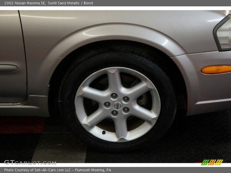 Sunlit Sand Metallic / Blond 2002 Nissan Maxima SE