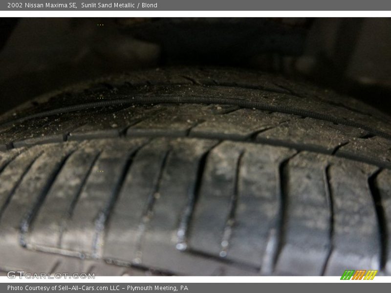 Sunlit Sand Metallic / Blond 2002 Nissan Maxima SE