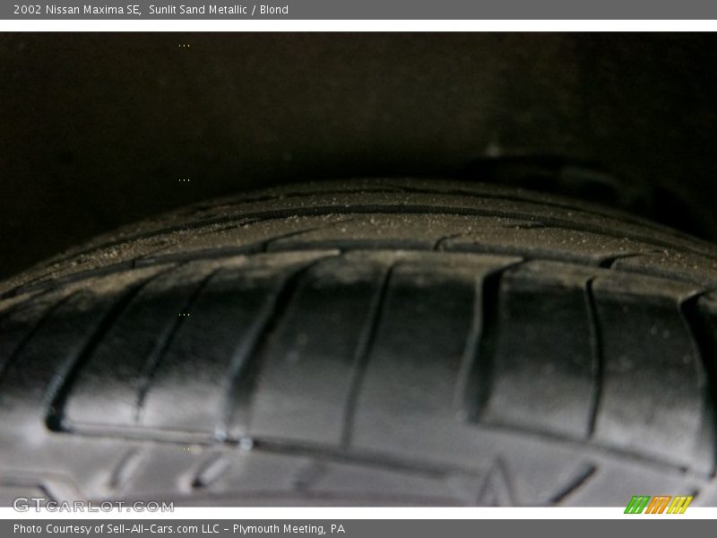 Sunlit Sand Metallic / Blond 2002 Nissan Maxima SE