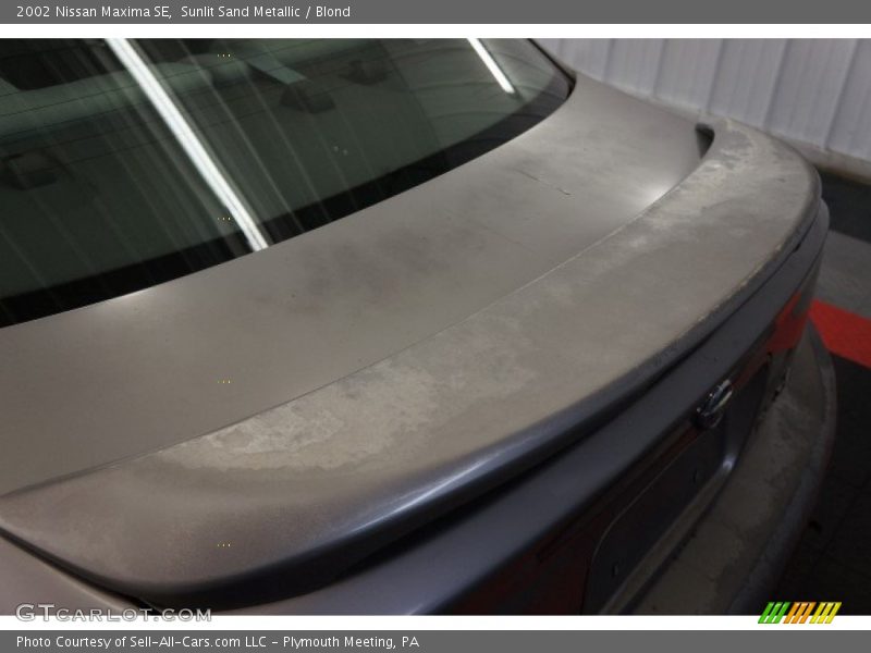 Sunlit Sand Metallic / Blond 2002 Nissan Maxima SE