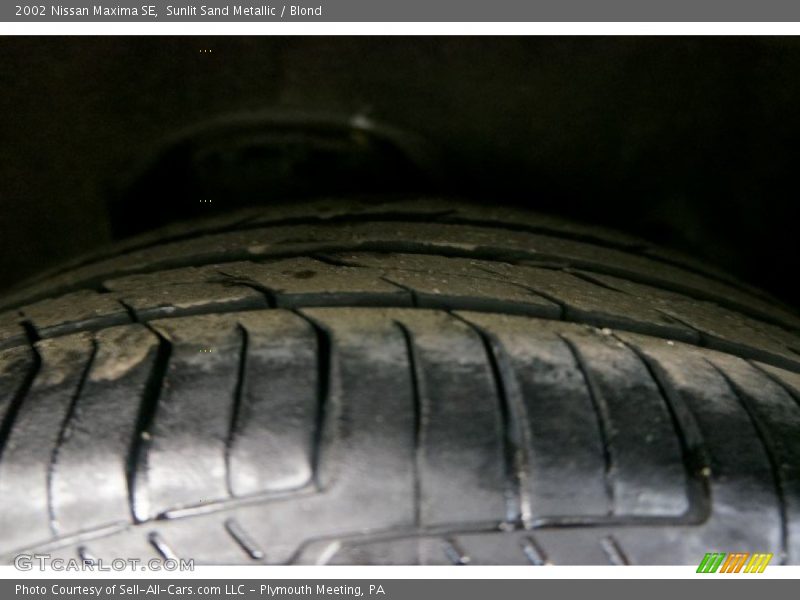 Sunlit Sand Metallic / Blond 2002 Nissan Maxima SE